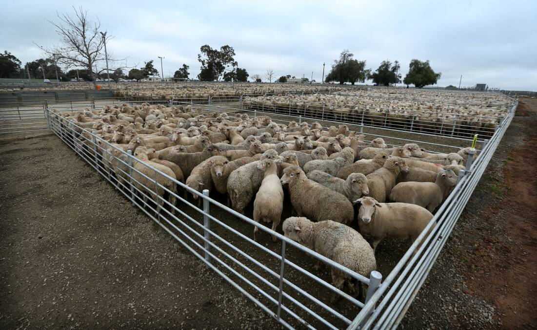 OUR SAY: Saleyards project a way we can look to the future