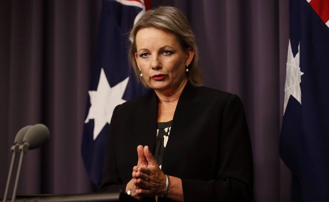 Health problems: A reader wants Health Minister and member for Farrer Sussan ley to do more to fix problems with bed availability at hospitals on the Border.