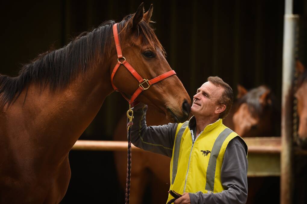 BOND: Peter Beattie has always loved working with horses. Picture: MARK JESSER