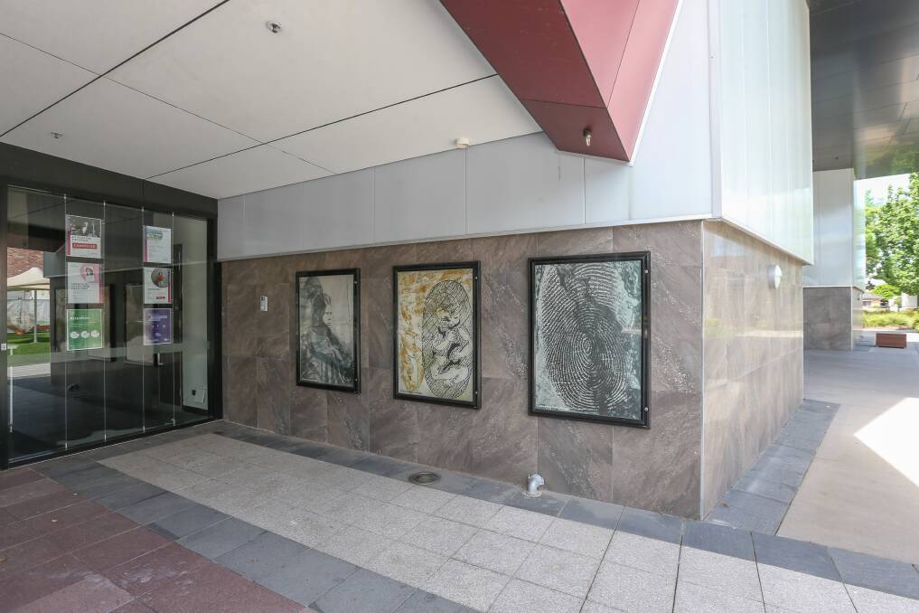 PUBLIC ART: Wodonga Council has installed three works by Glennys Briggs at The Cube Wodonga. Picture: TARA TREWHELLA