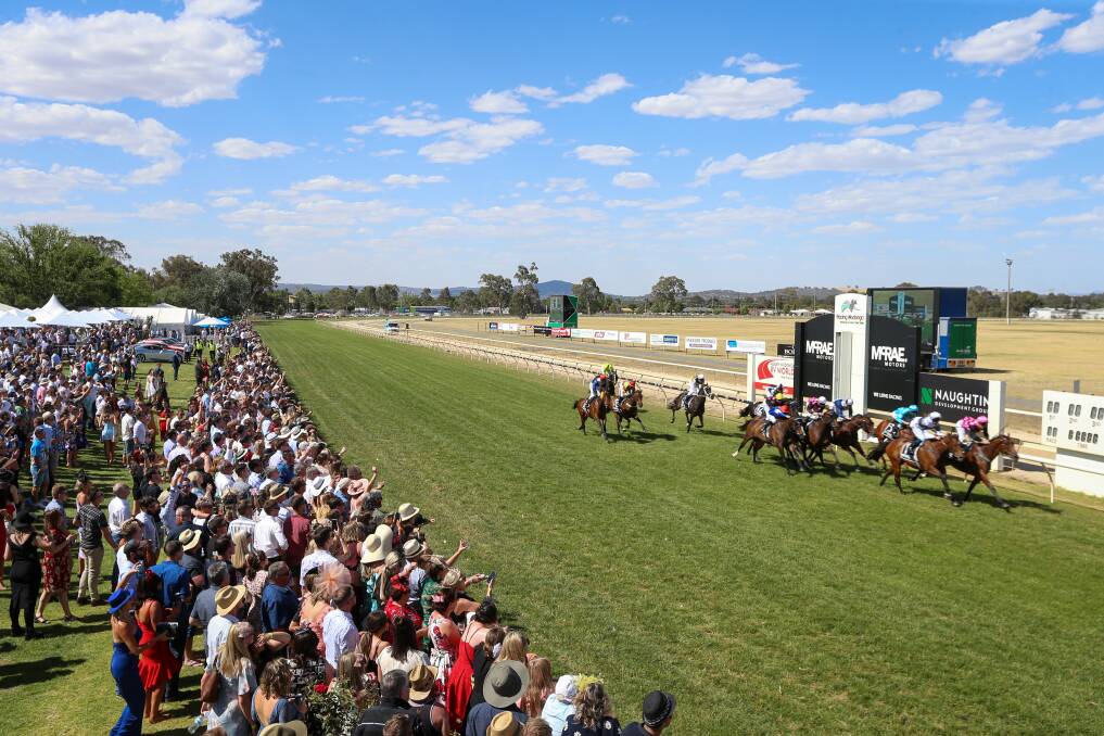 CUP CROWDS: Spectators line the track to watch the 2019 Wodonga Gold Cup. Picture: JAMES WILTSHIRE
