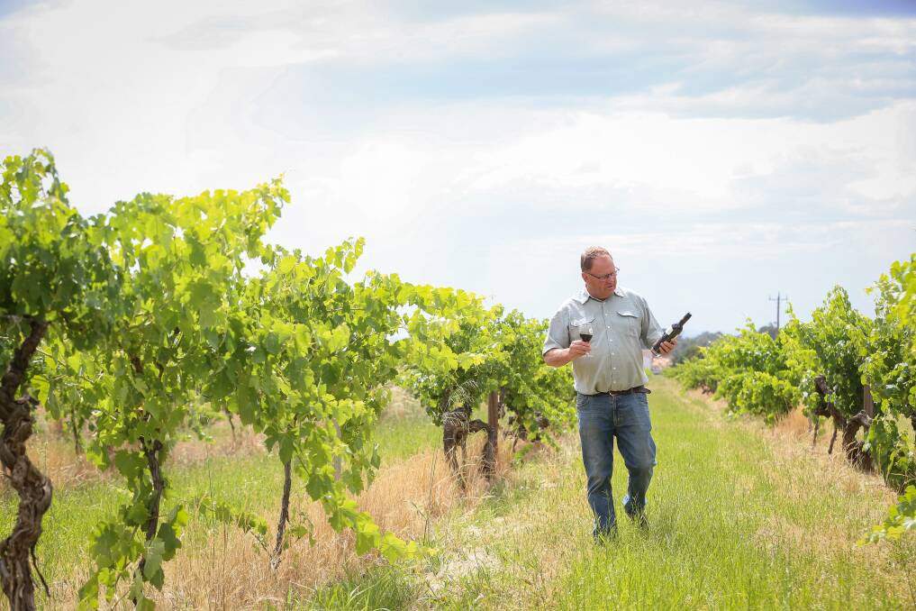 SUSTAINED SUCCESS: David Morris, of Morris Wines, walks through the Rutherglen property, which has been endorsed by Australian travellers. Picture: JAMES WILTSHIRE