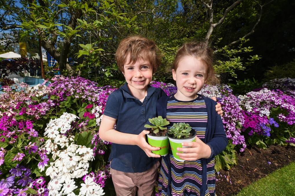 PLANTS PLAY: Oliver Crossley, 5, and his sister Sabine, 3, are among Saturday's visitors to Albury Botanic Gardens. Picture: MARK JESSER