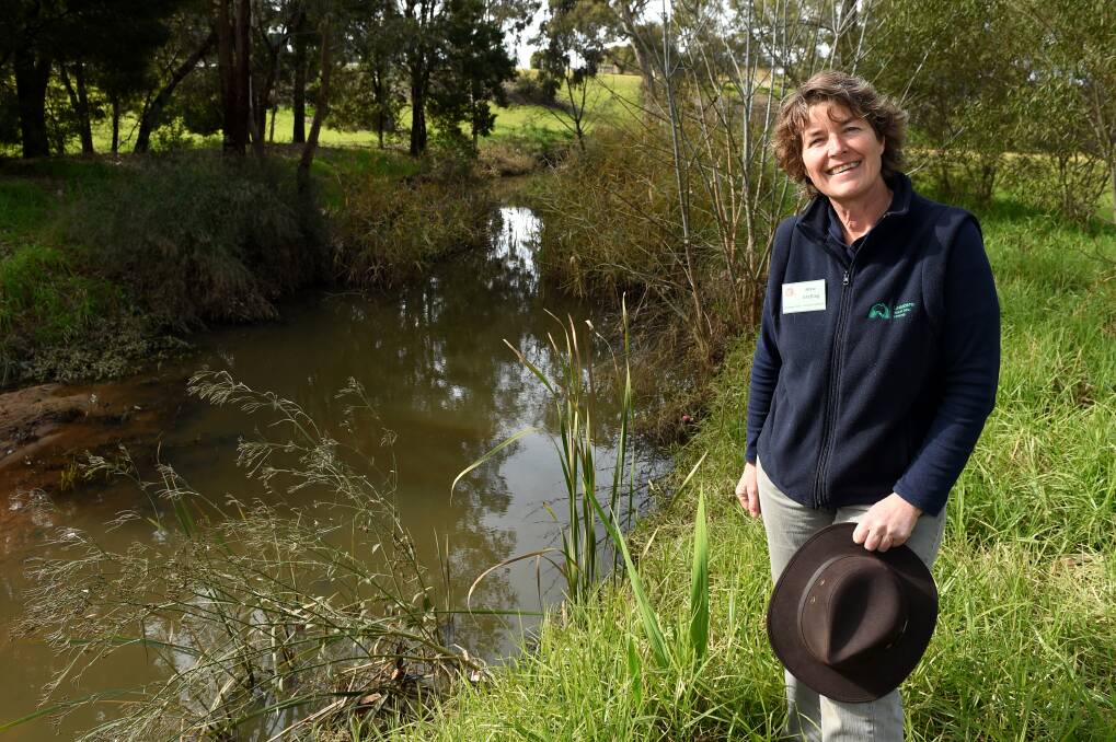 WORK SUPPORTED: Anne Stelling, of Wodonga Urban Landcare Network, stands next to House Creek in 2015. The group has received state government funding. 