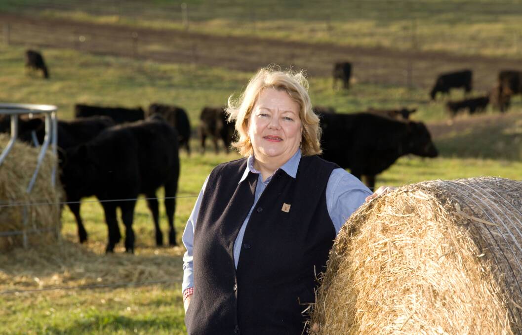 LEADING VOICE: Alana Johnson, who farms near Benalla, says she's surprised and honoured to be recognised for her support of women in agriculture.