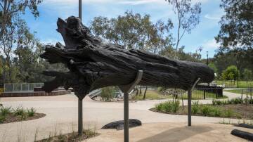 The new sculpture, Bungambrawatha, installed at Albury's riverside precinct has provoked some strong reactions among readers. Picture by James Wiltshire
