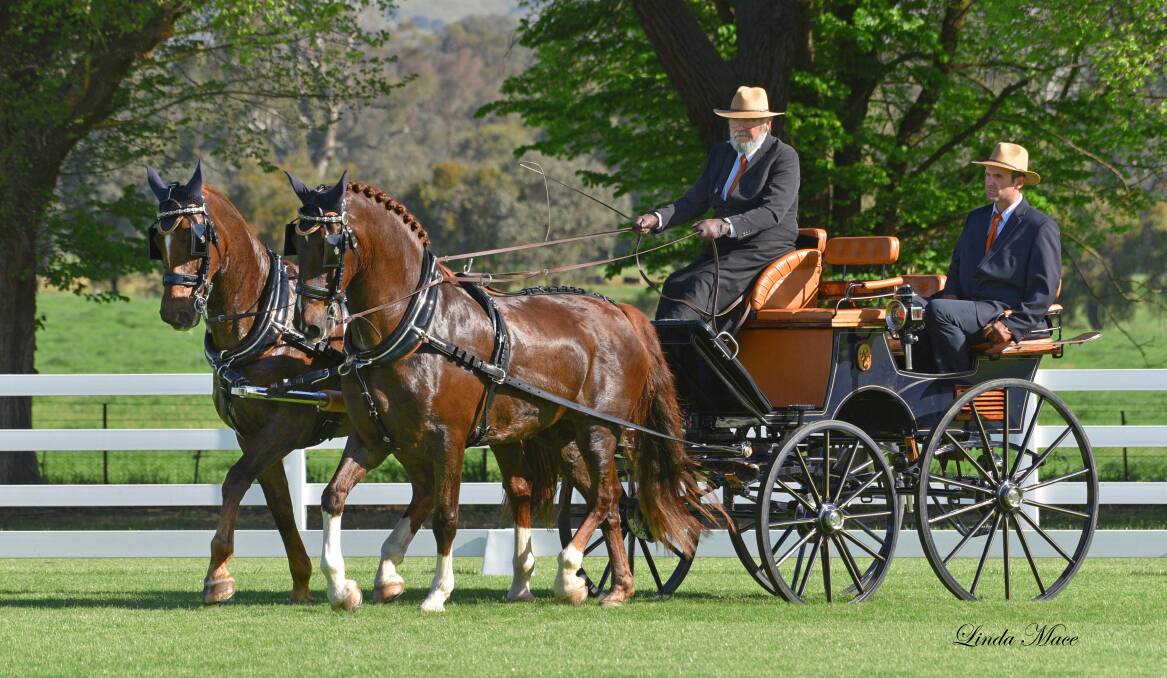 Ross Carbery, of Mullengandra, and home bred horses Carbery Estate Valentino and Carbery Estate Moscarto will be competing in the 2023 Battle of the Border horse and carriage event, December 1-3. Picture by Linda Mace