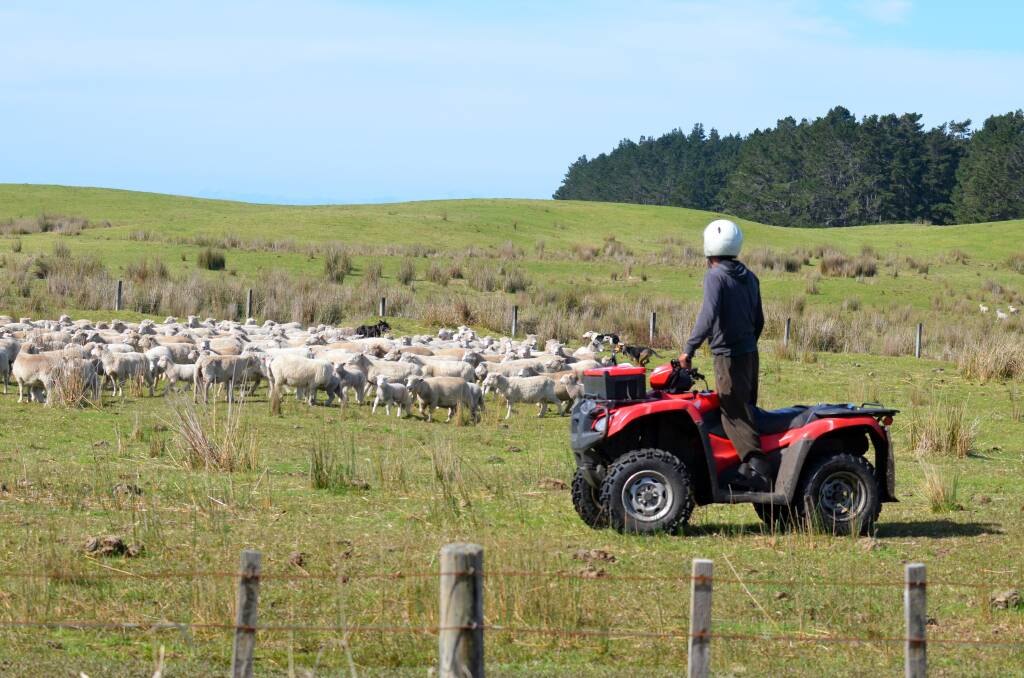 COMMON SIGHT: The Victorian Farmers Federation says the decision by some manufacturers to stop selling quad bikes in Australia has caused considerable angst for farmers.