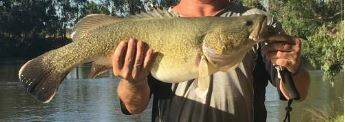 YOUR SAY: It's time to relax Murray River fishing bans