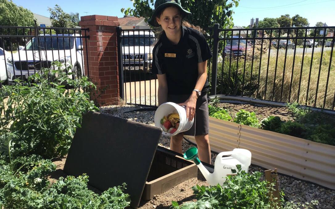 CARING FOR OUR ENVIRONMENT: St Bernard's Primary School, Wangaratta, student Caitlyn McCarthy takes part in Earth Week activities. Her school plans to build an apple orchard with the assistance of a $4445 grant from the Climate Ready Hume program.