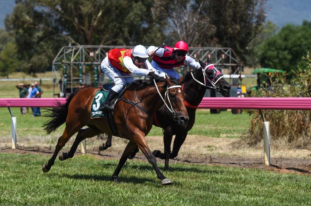 MAKING HER MOVE: Jockey Courtney Pace times her run perfectly as Nine Mile Sniper (number 3) heads towards a win in the 2017 Milestone Dederang Cup. This year's Dederang meeting was abandoned owing to high temperatures.