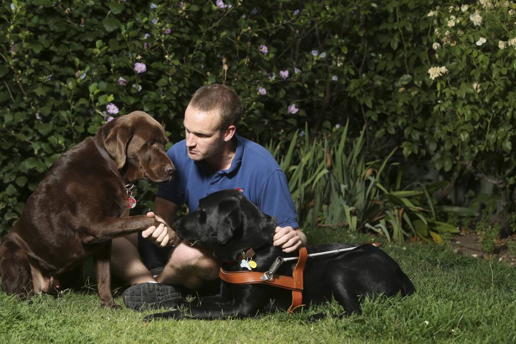 THANK-YOU DEAR FRIEND: Daniel Searle in 2016 with his retired guide dog Bear and new assistant Frodo.