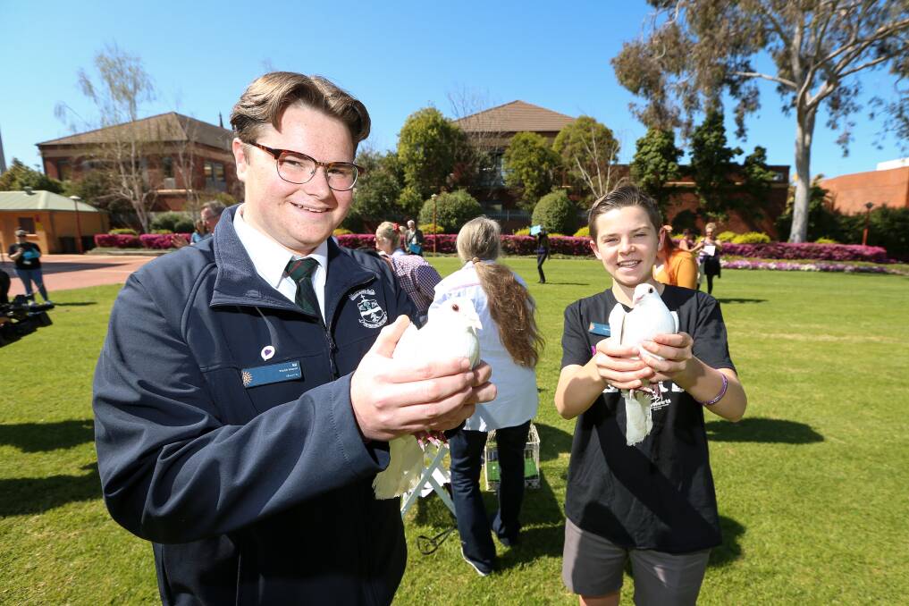 READY FOR RELEASE: Albury youth mayor Eli Davern and deputy mayor Jack Kelso hold their doves in preparation. Picture: JAMES WILTSHIRE