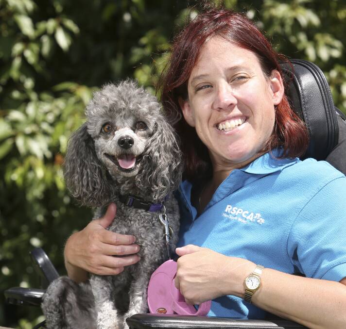 POSITIVE STEPS: Albury RSPCA's Kate Fiedler says about 15 people attended the last branch meeting, "which is the most we've had in, I would say, three years".