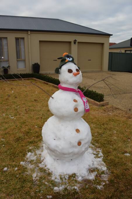 Snowman tries out life in the suburbs