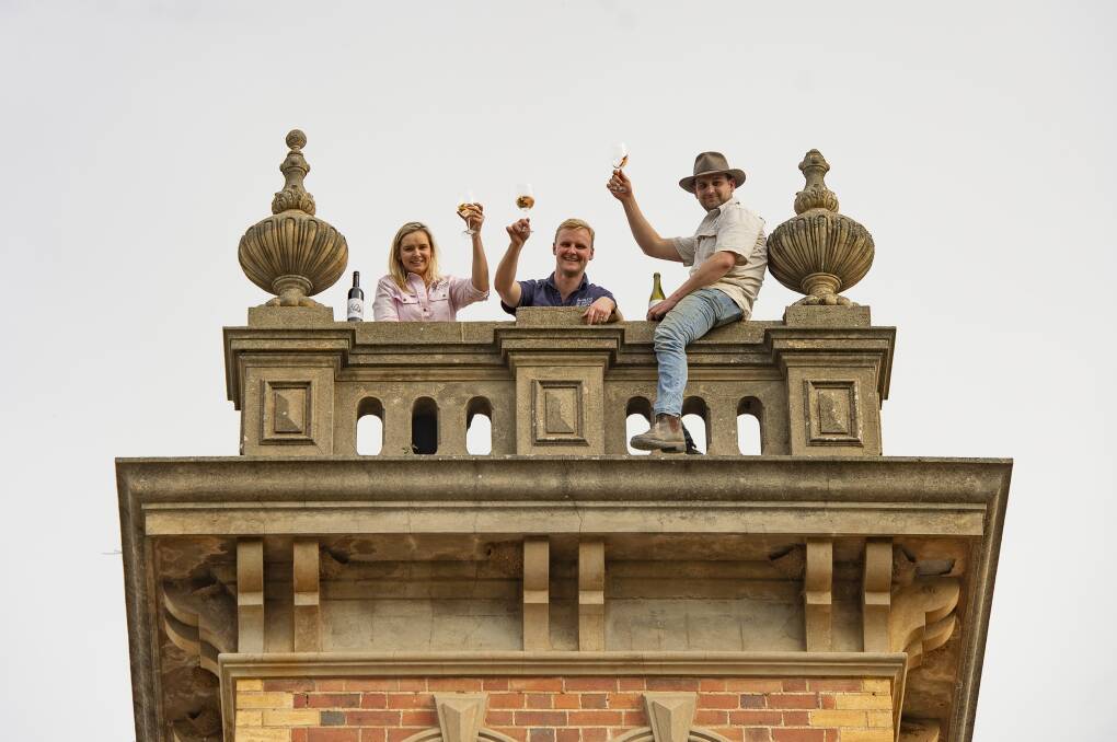 HIGH CHEERS: Matilda, Harry and Joe Perry toast their new wine range Climb The Tower on top of the mansion centrepiece that inspired the name. Picture: SUE DAVIS