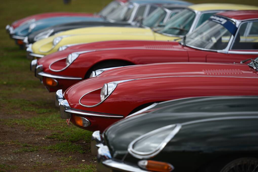STYLE ON SHOW: A row of Jaguars line up at Gateway Lakes. Picture: MARK JESSER