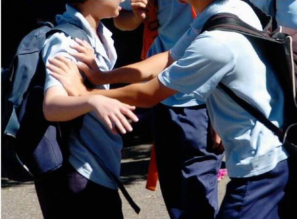 SHOCK: Police were called to schools in the Albury district 15 times in 2018 to respond to incidents including violence against staff, animals and students. Picture: FILE IMAGE