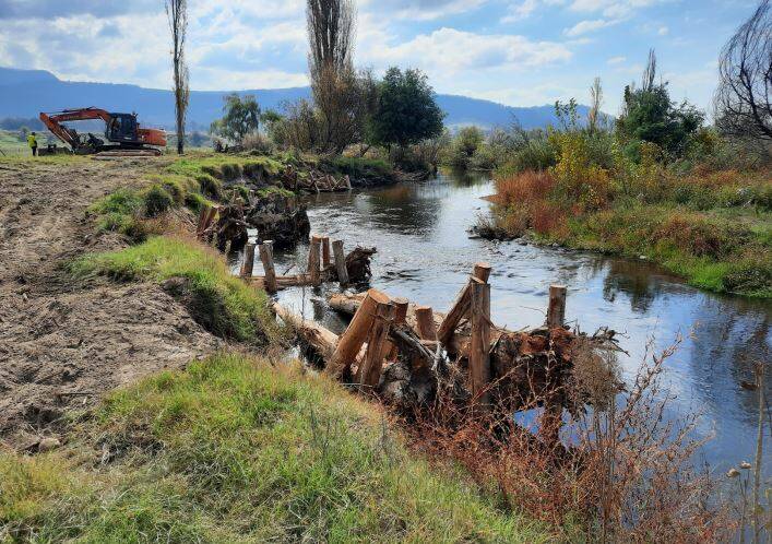 Community joy to see Upper Murray creek's recovery after bushfires