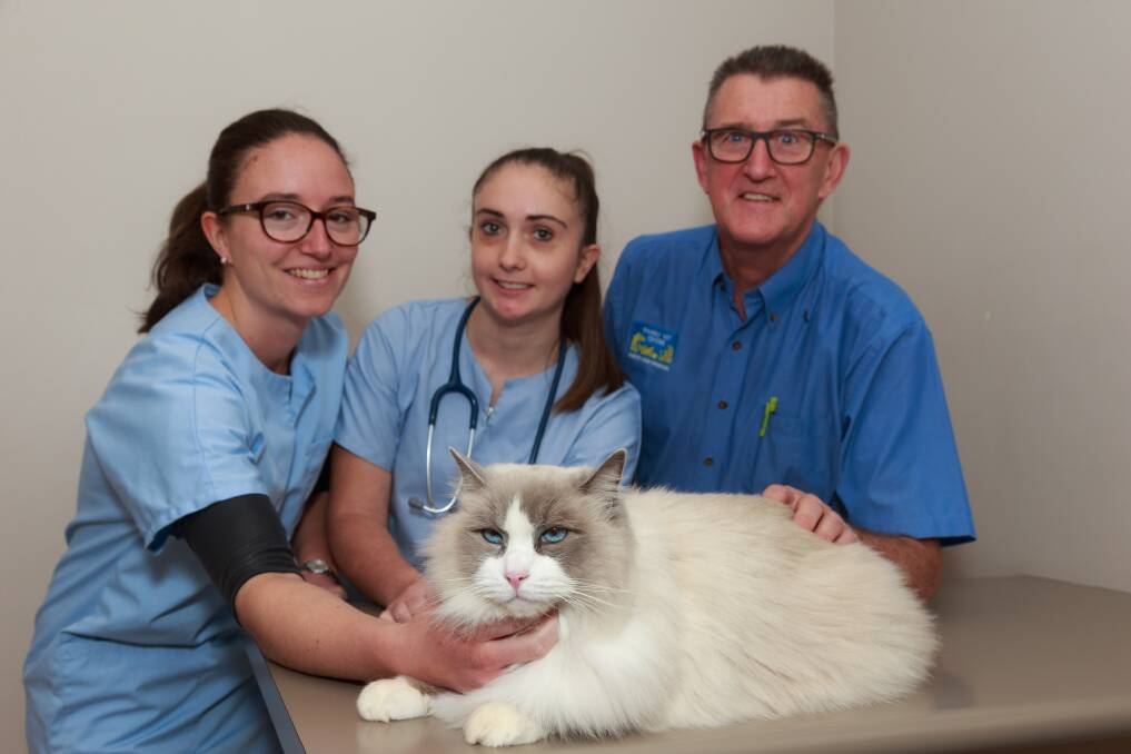 LEARNING EXPERIENCE: Overseas students Adeline Argentier and Laure Mioche, Border vet Peter Lee and Diamond the cat. Picture: SIMON BAYLISS