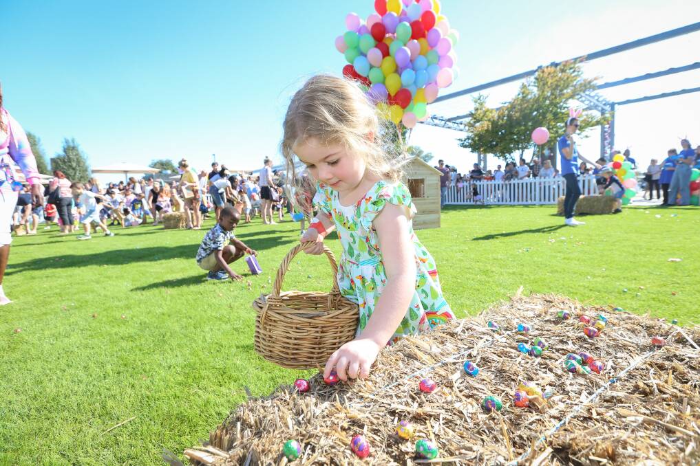 FOUND SOME: Wodonga's Pepi Favier-Trickey, 3, collects Easter eggs during Friday's hunt at Junction Square. Picture: JAMES WILTSHIRE