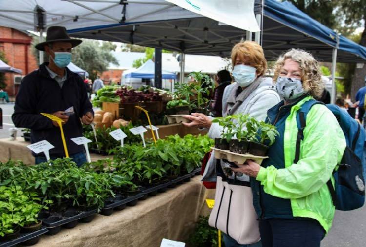 CONSTANT PRESENCE: The Albury Wodonga Farmers' Market has continued throughout the pandemic.