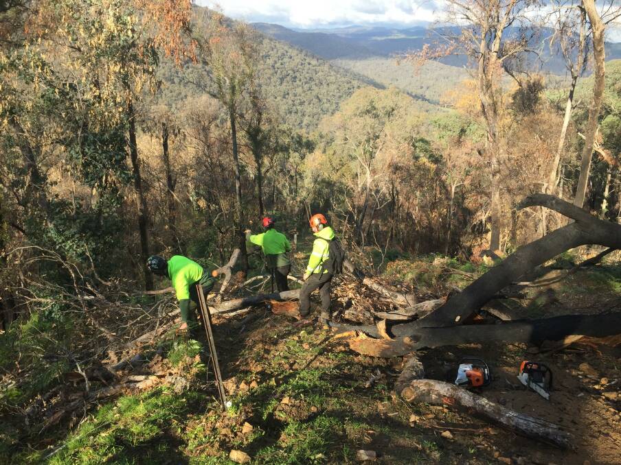 LOGISTICAL CHALLENGE: Forest Fire Management Victoria workers visit sites hit by the summer bushfires. The crews complied with COVID-19 restriction requirements.