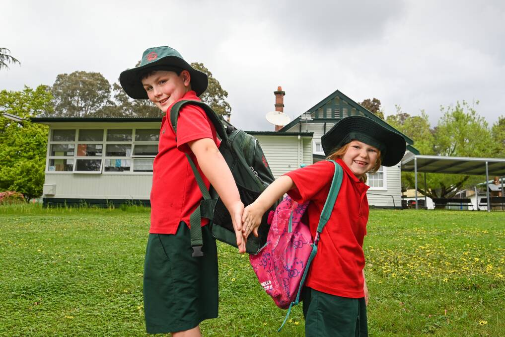 CLASSES RETURN: The Heenan siblings, Kody, 9, year 3, and Ellie, 5, prep, are pleased to be back with the rest of the Whitfield District Primary School students. The school resumed on-site learning on Monday. Picture: MARK JESSER