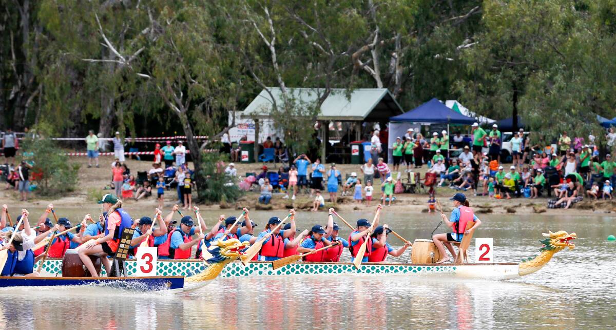 DRESS REHEARSAL: Dragon boat racing on Gateway Lakes in March served as a practice run for this week's 2017 Australian Dragon Boat Championships, which kick off with the opening ceremony on Wednesday afternoon.