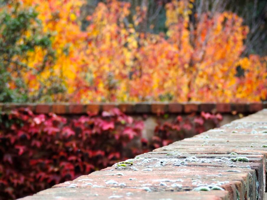 ALTITUDE: Visitors will see the fall of autumn colour at Wallasey-Beaumaris garden near Beechworth in the Open Gardens Victoria program.