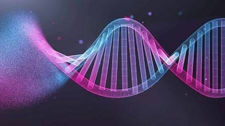 Family history webinar seeks to unlock mysteries of DNA