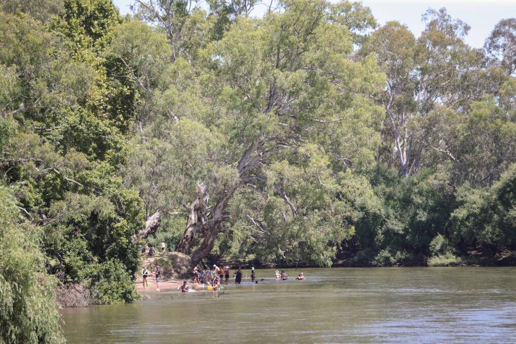 Swimmers enjoy the water at Albury's Noreuil Park on Sunday, February 4, the region's hottest day of the summer so far. Picture by James Wiltshire