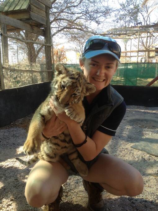 ADVENTURE: As a final year vet student, Ainslie Campbell worked with wildlife vets in South Africa for part of her practical component. "Safe to say it was the best experience of my life!" she says.