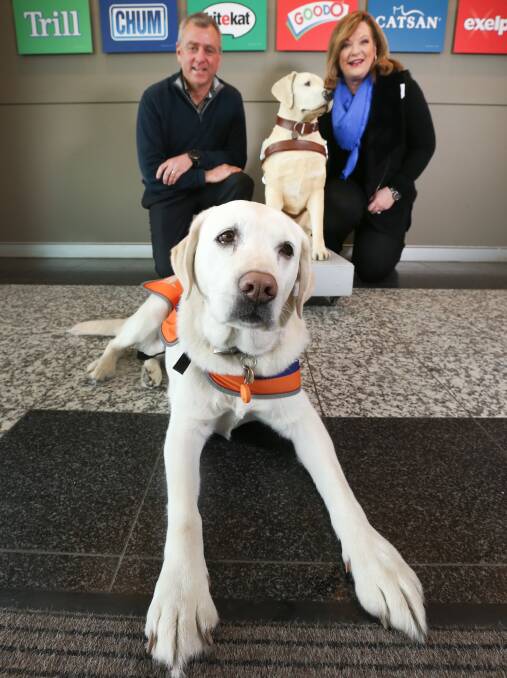 MUTUAL BENEFITS: Willow holds court as Mars Petcare's Jim Brodie and Guide Dogs Victoria's Karen Hayes mark the groups' 50-year partnership. Picture: KYLIE ESLER