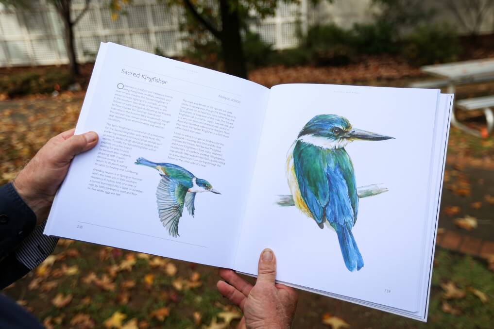 VIBRANT COLOURS: Featuring about 140 birds, the book is more a celebration of its subjects, rather than a textbook. Picture: JAMES WILTSHIRE
