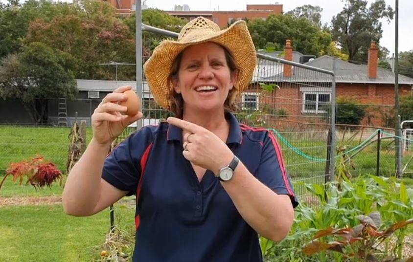 PUN FUN: "It's a egg plant". Albury High School teacher Tracey Lee join forces with colleagues to let pupils know everyone is in this together. Picture: FACEBOOK