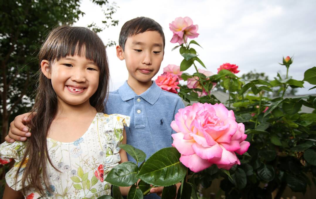 BLOOMING SUCCESS: Dana Park, 5, and her brother, Ian, 8, of Wodonga, are regular exhibitors in the annual rose show at St David's Uniting Church. Organisers hope more children join them on Saturday. Picture: JAMES WILTSHIRE