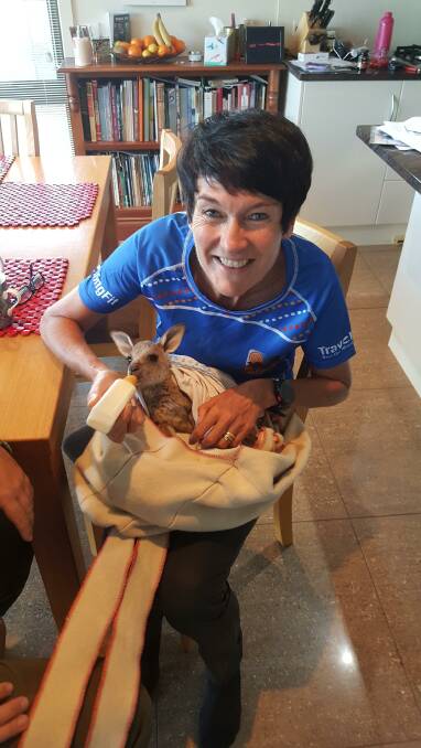 SPECIAL MOMENT: British author Jean Harper is thrilled to meet a joey during her Australian visit.