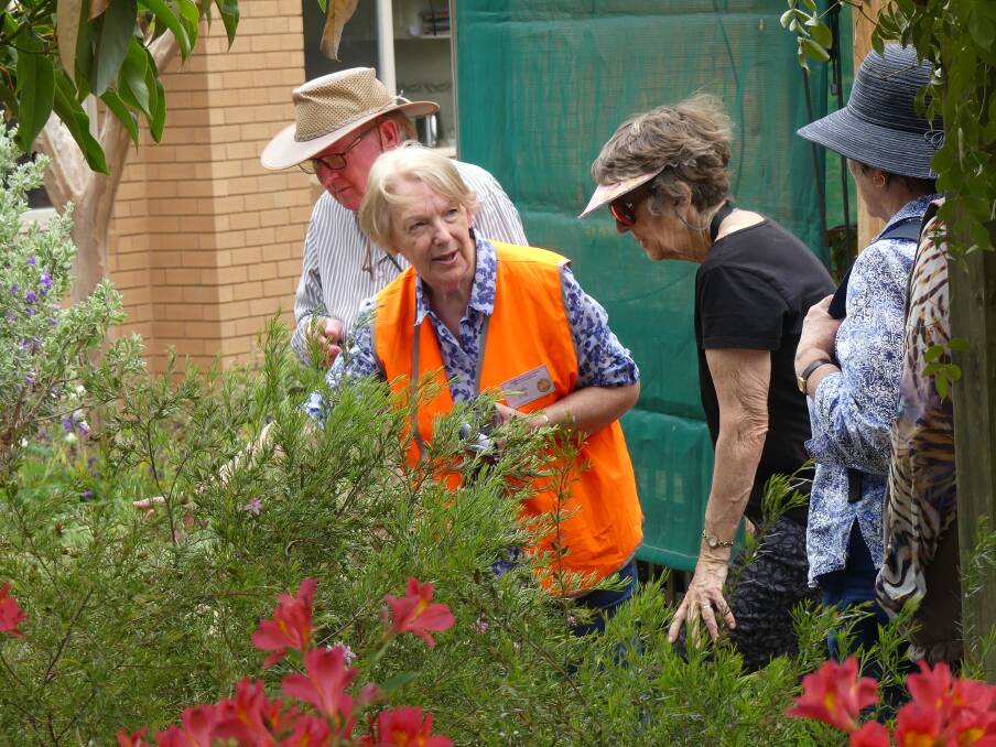 GROWING AWARENESS: Gardens 4 Wildlife Albury-Wodonga habitat gardeners opened their properties for visits, conducted tours and took part in wildlife garden visits. Picture: SUPPLIED