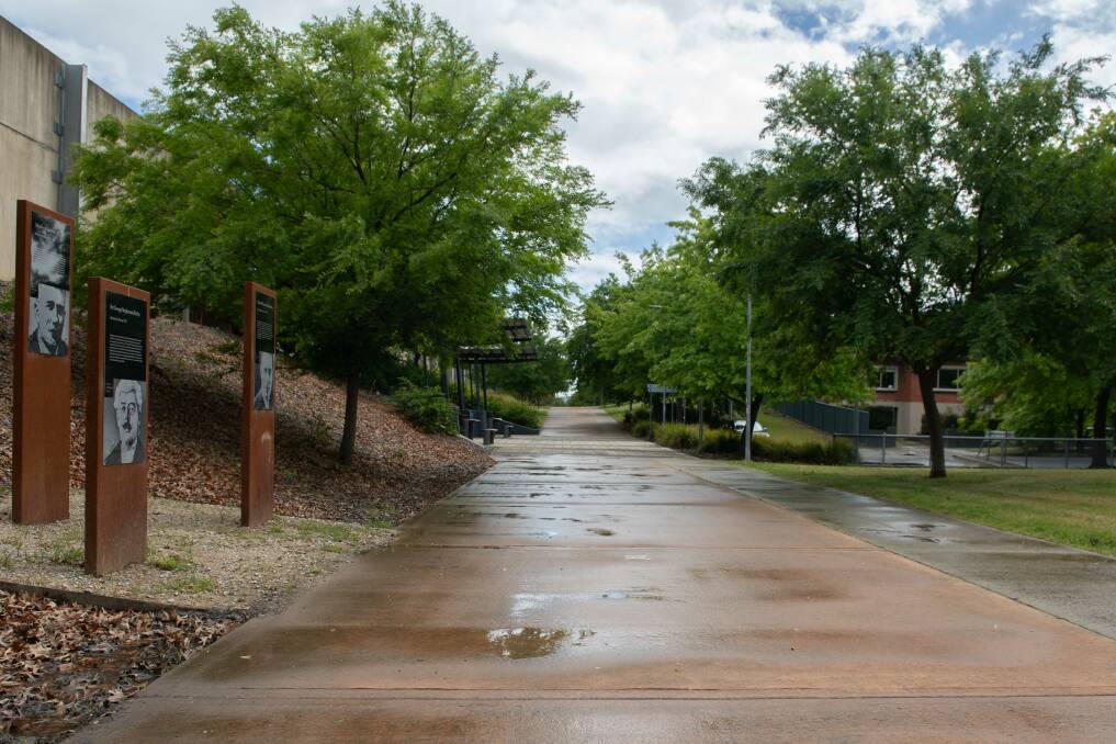 Rain earlier in the week left things damp along Albury's walking tracks. Picture by Tara Trewhella