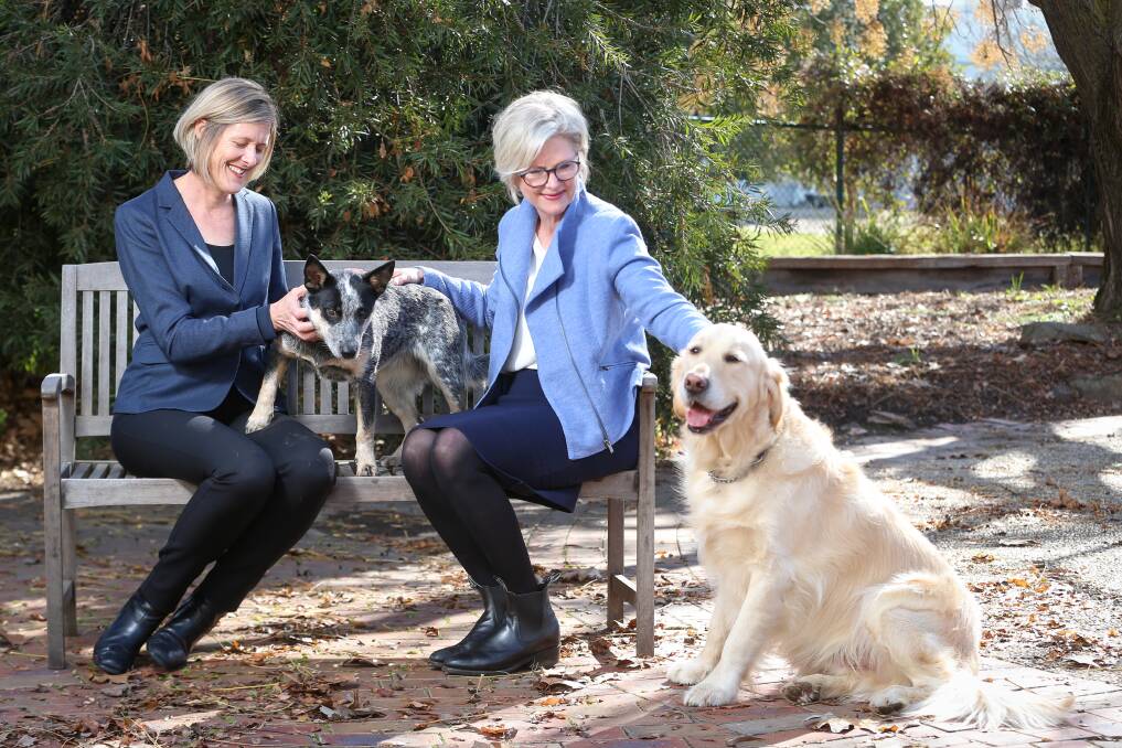 POSITIVE IMPACT: Australian Food and Grocery Council's Tanya Barden and Indi MP Helen Haines meet Storm and Thor at Mars Petcare Wodonga. Picture: JAMES WILTSHIRE