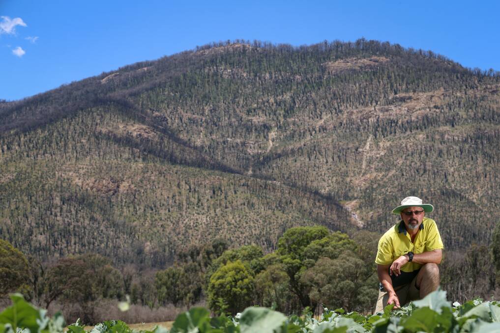 SLOW RECOVERY: Burnt hills are a constant reminder for Guys Forest farmer George Kucka, who is also Corryong CFA strike team leader. Picture: JAMES WILTSHIRE