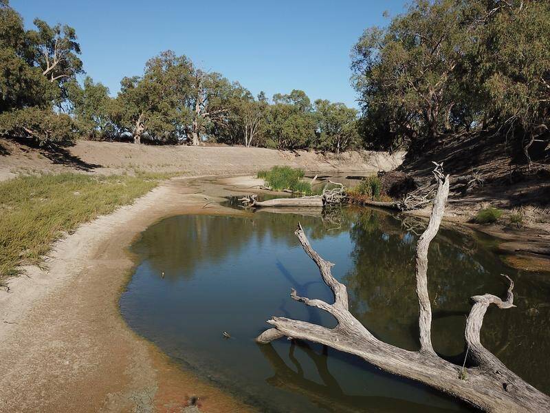 Contentious changes to the Murray-Darling Basin Plan have passed the House of Representatives. (Dean Lewins/AAP PHOTOS)