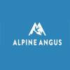 Alpine Angus