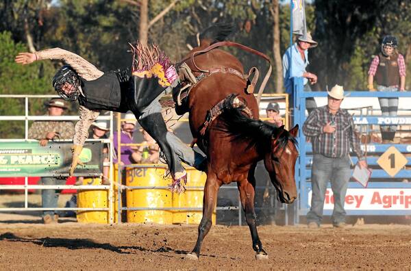 Kids add spice to rodeo