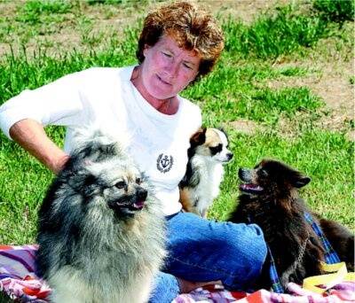 Barnawartha’s Janelle McVean, of Small Paws Rescue, has two German spitz dogs and a chihuahua in need of a loving home. Picture: RAY HUNT