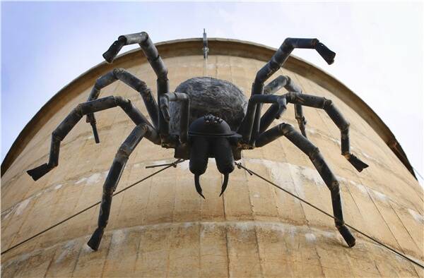 Larger-than-life creepy crawly ... The sculpture is made of farm items including bore piping from a dry windmill, drill bits and an old wood-fired copper. Picture: MATTHEW SMITHWICK