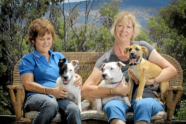 Wodonga Dog Rescue volunteers Peta McRae and Alison Press hope people will choose to save a dog than buy one this Christmas. Picture: TARA GOONAN
