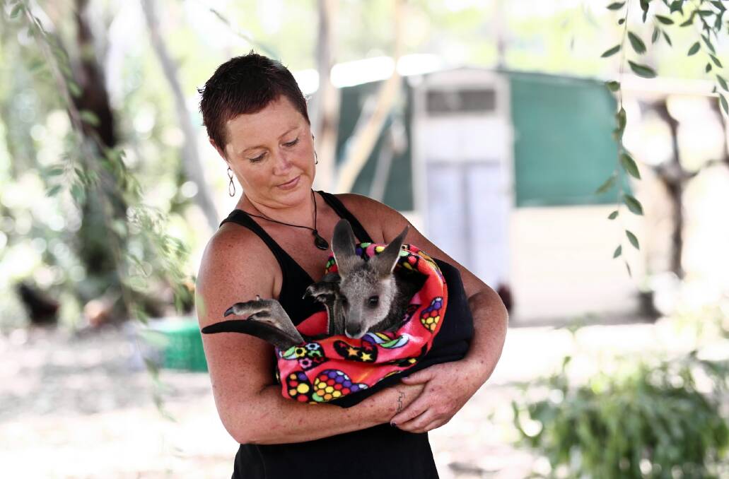 Wildlife carer Kylee Donkers with a young kangaroo she is nursing back to health.