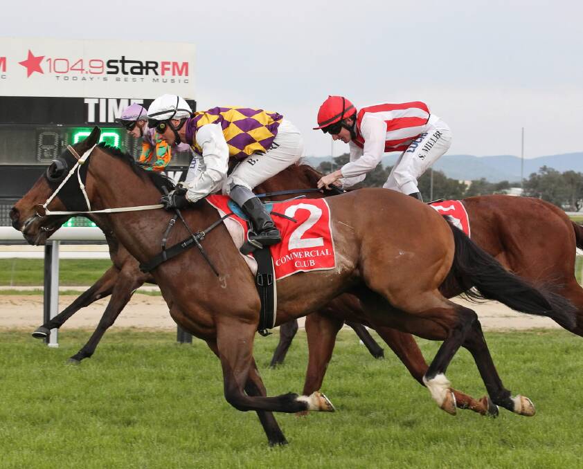 Canberra-based jockey Brendan Ward aboard Undercurrent who finished powerfully to upstage local hope Magic Shag at Albury racecourse yesterday in the sixth race on the card, the $15,000 Bechmark 70 Hcp (1000m). Picture: BEN EYLES